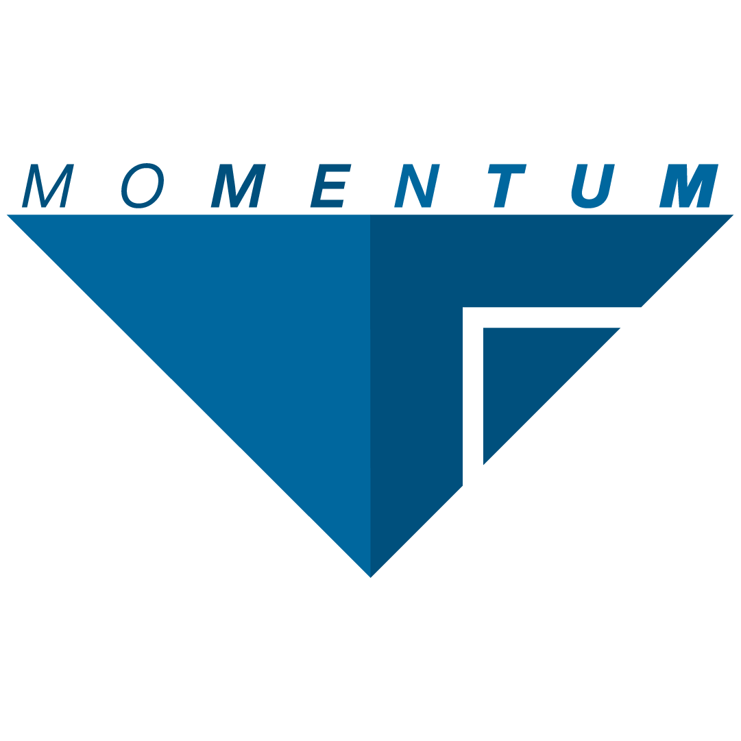 MOMENTUM FLIGHT | WS